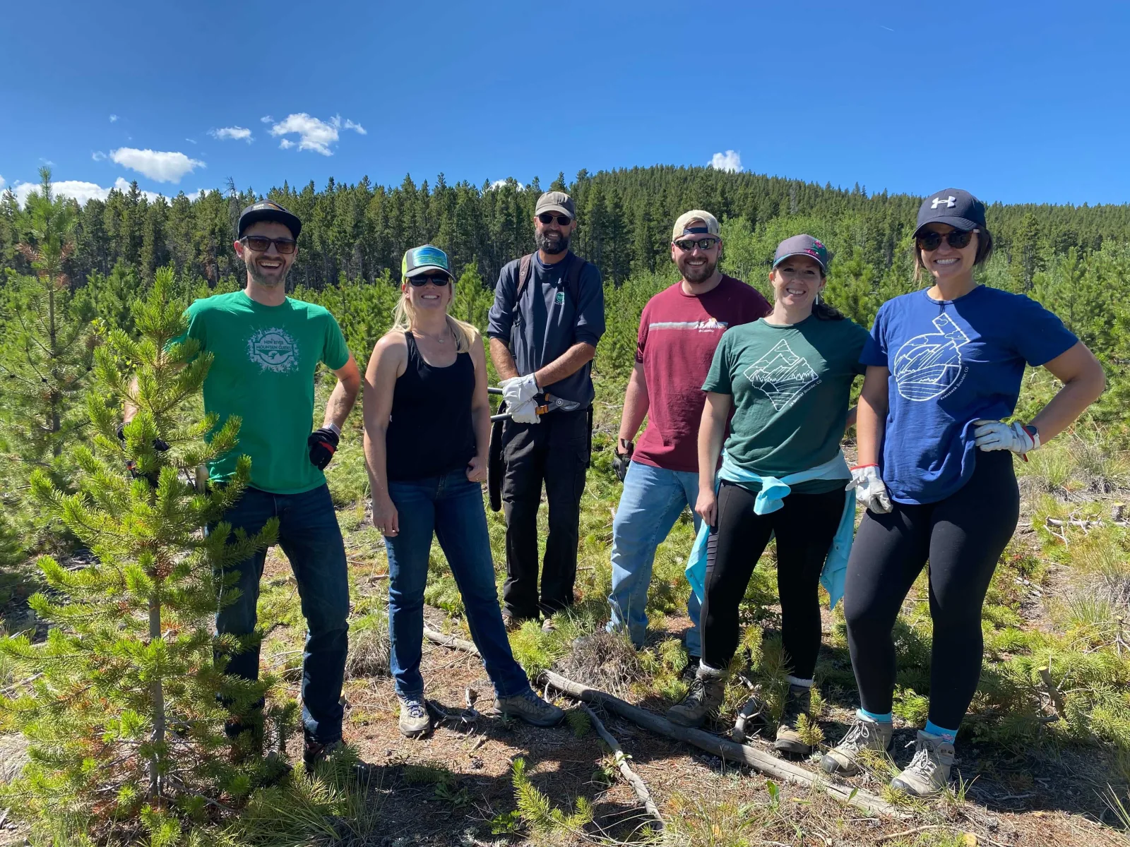 Employees Volunteering